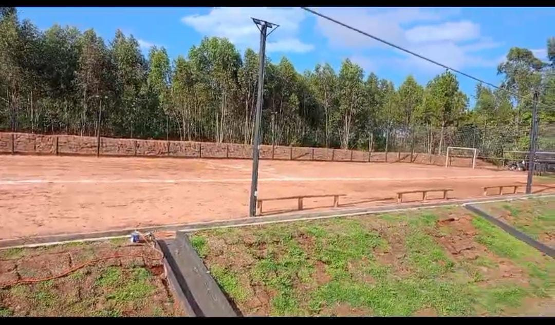Campo